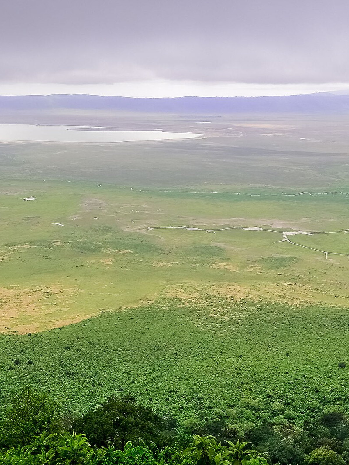 Tanzania eSIM - Photo 3