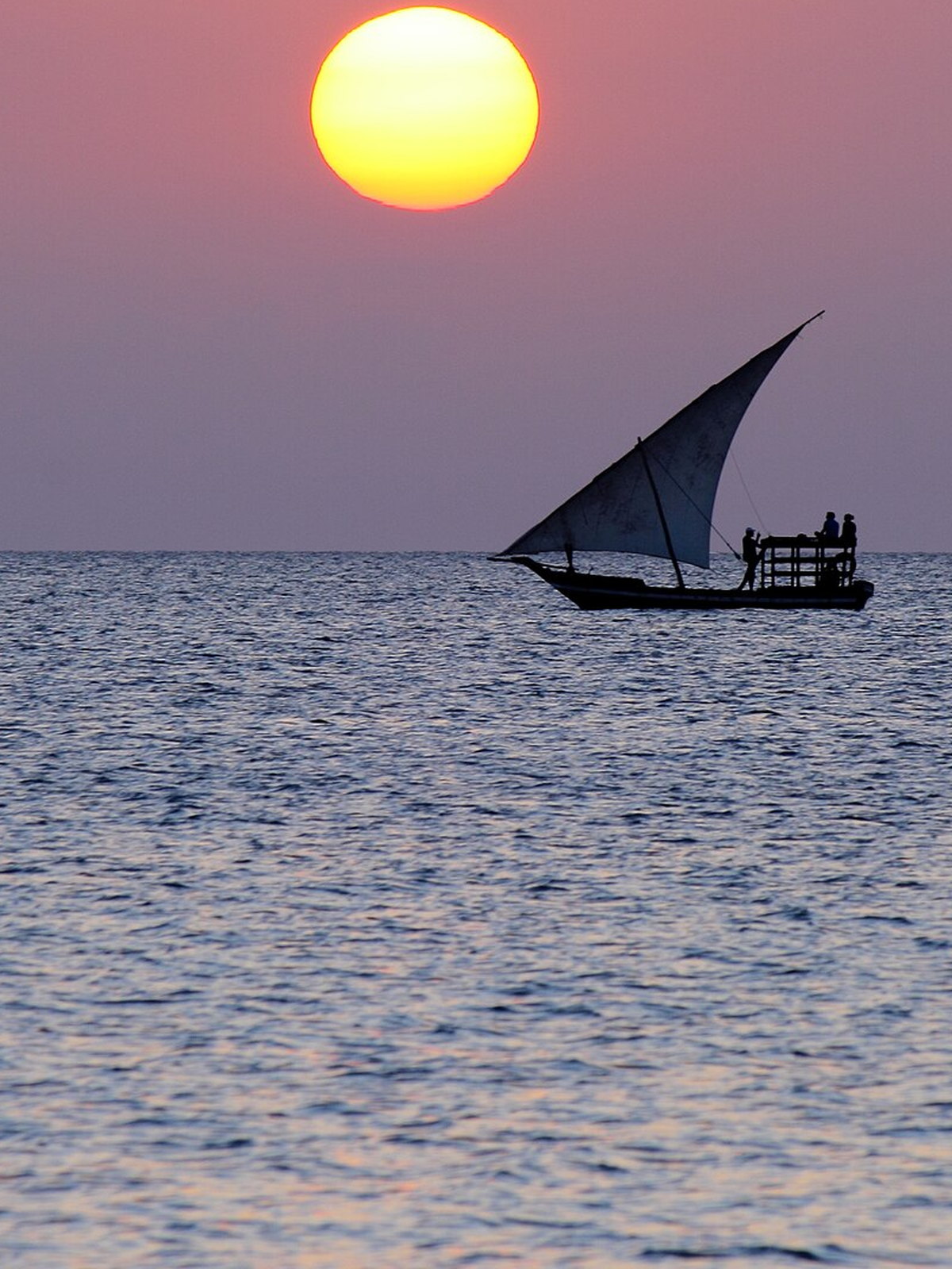Tanzania eSIM - Photo 5
