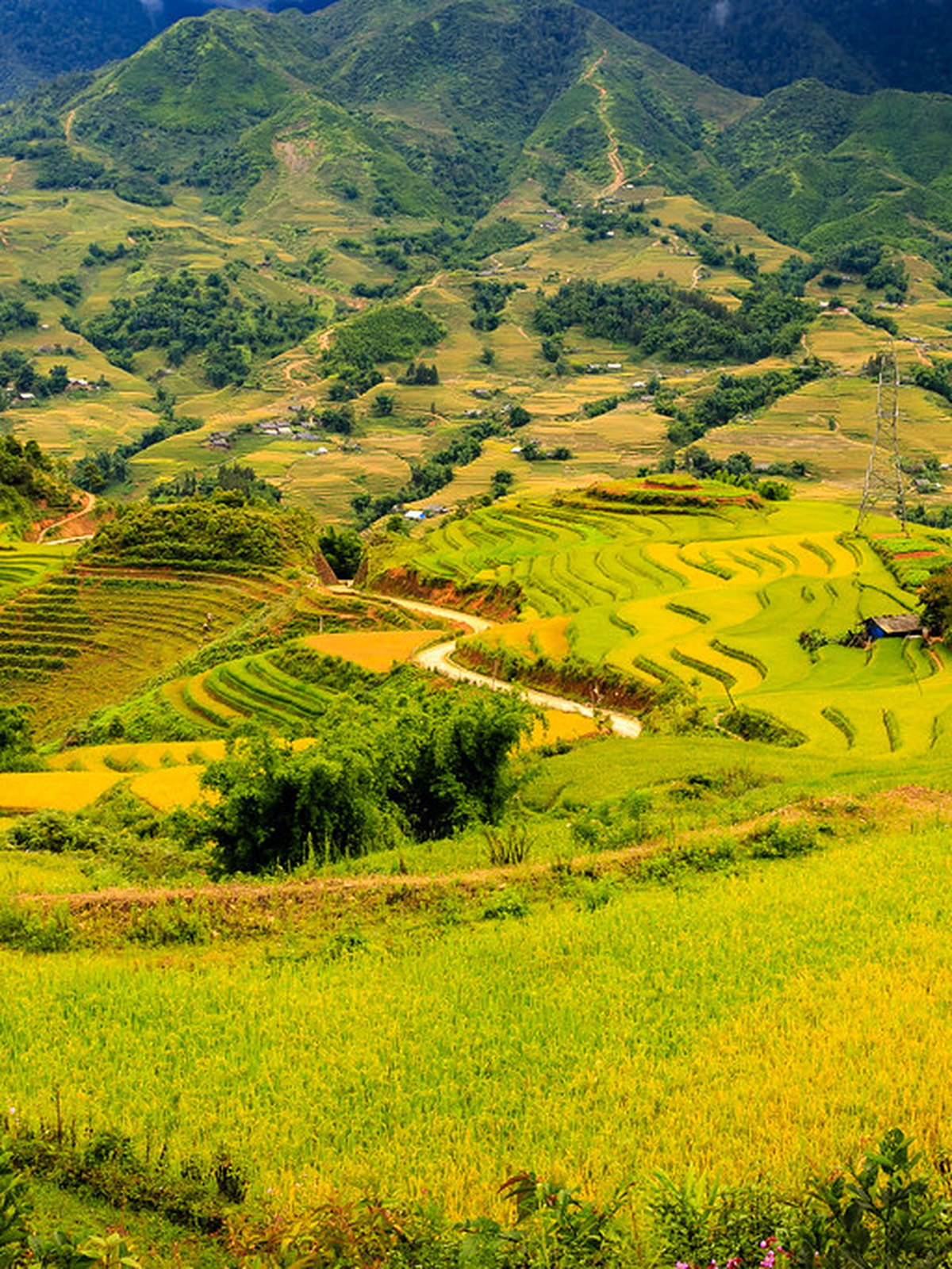 Vietnam eSIM - Photo 5