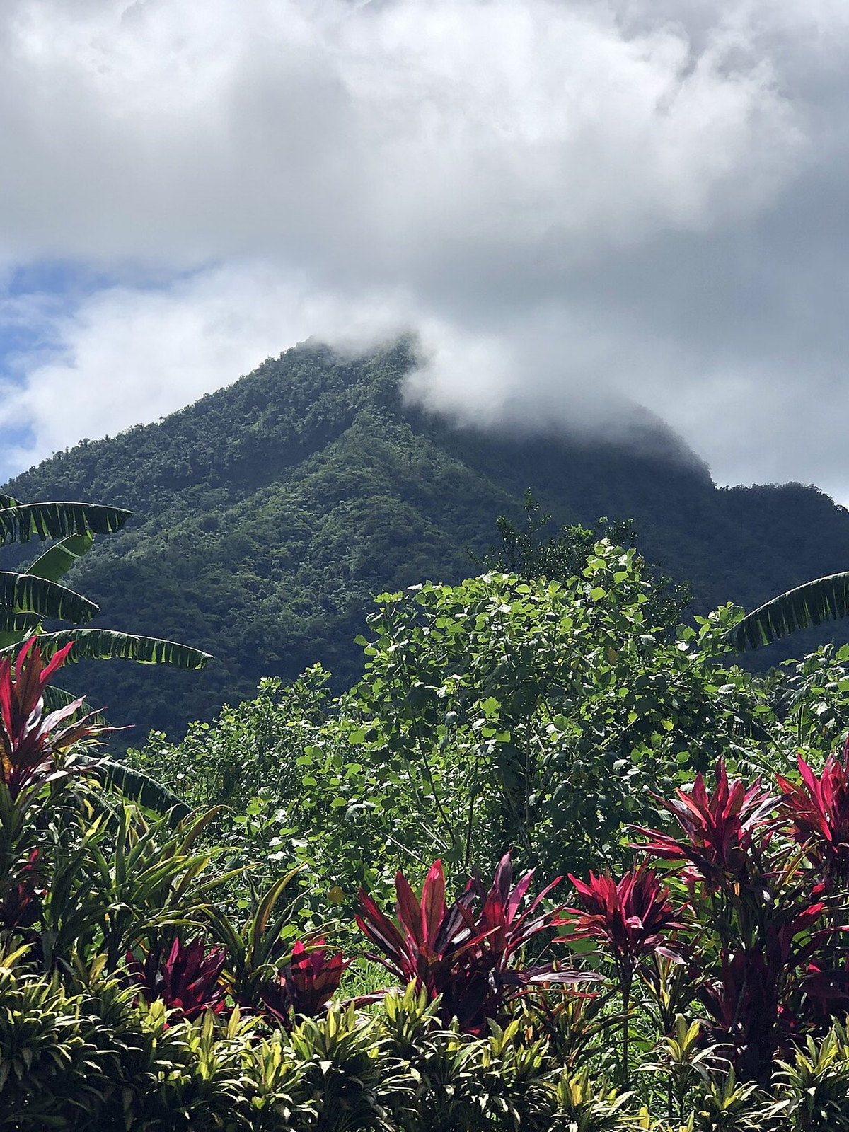 Samoa eSIM - Photo 2