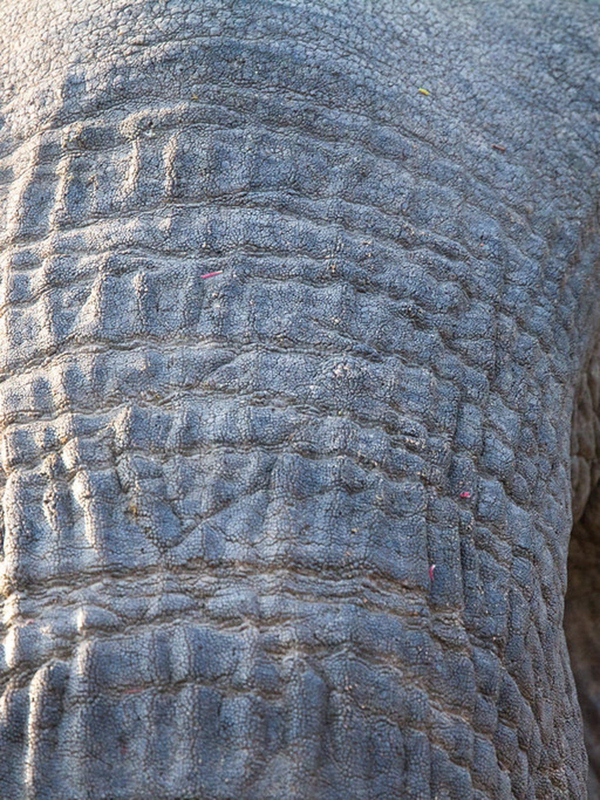 Zambia eSIM - Photo 2